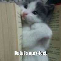Analytics Cat